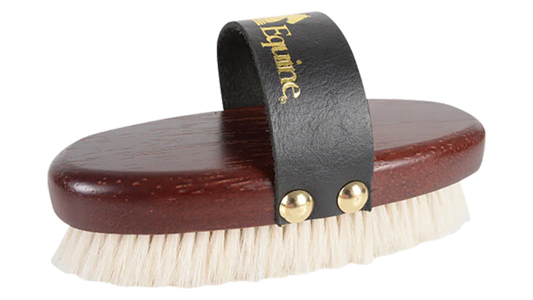 5 Best Horse Shedding Tools for 2023 LaurasSaddlery