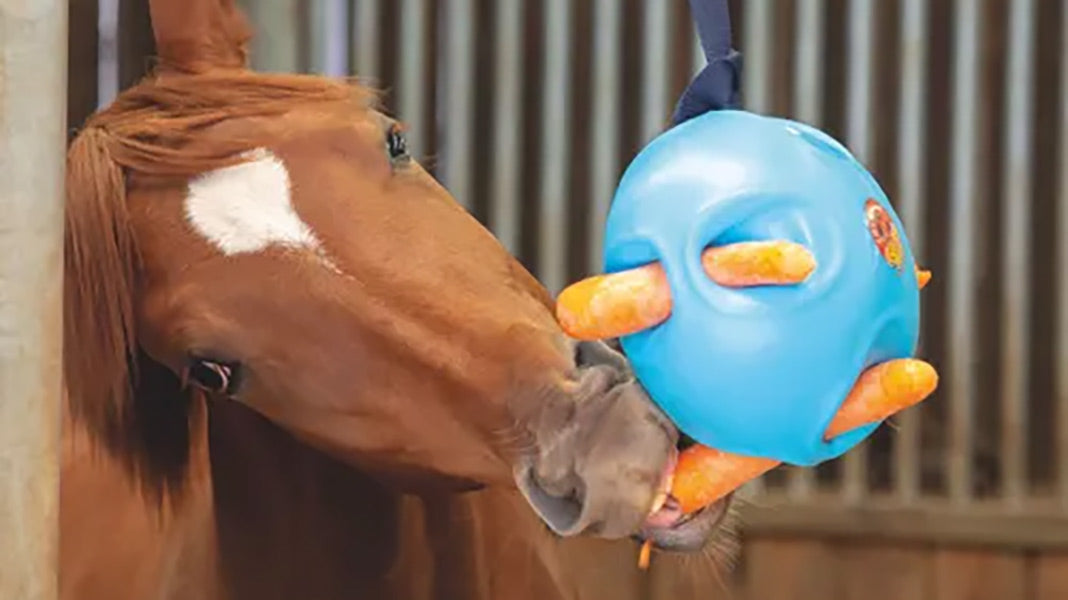 Keeping Your Horse Entertained LaurasSaddlery