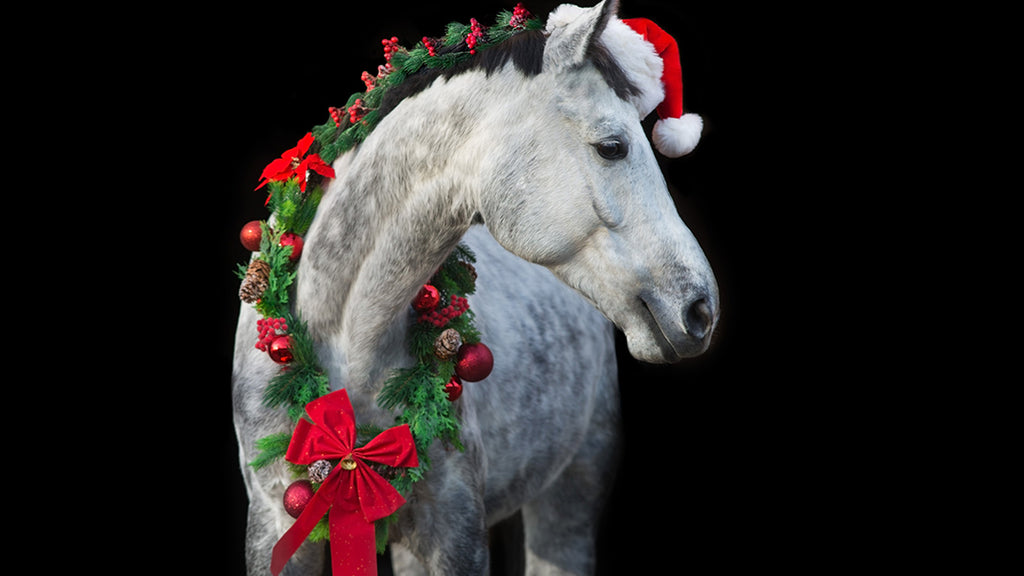 Your Gift Guide for the Horse Lover in Your Life