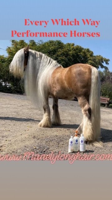 Mane-ly Long Hair Restore Shampoo