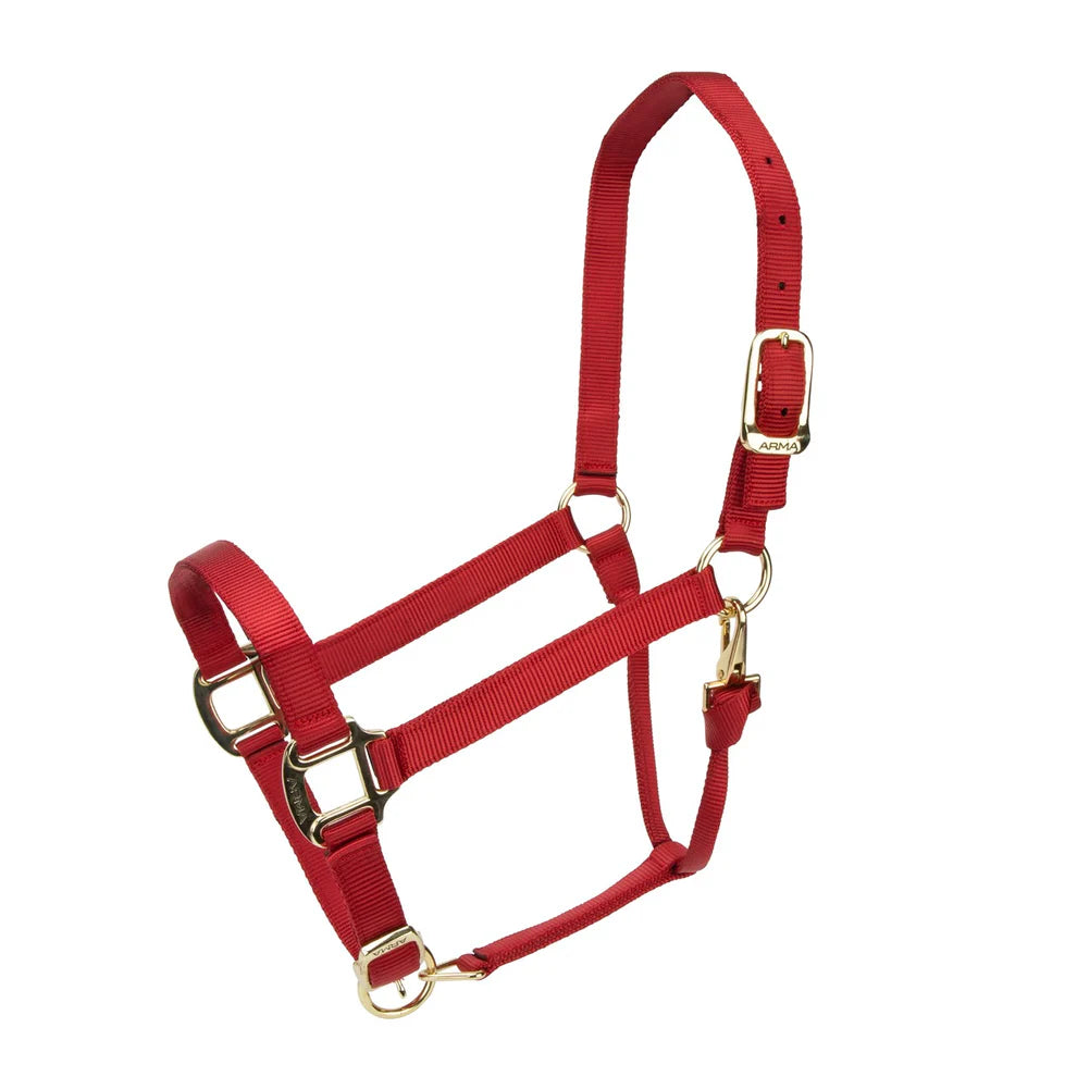 ARMA Adjustable Nylon Halter