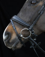 SCHOCKEMOHLE Bridle Charleston