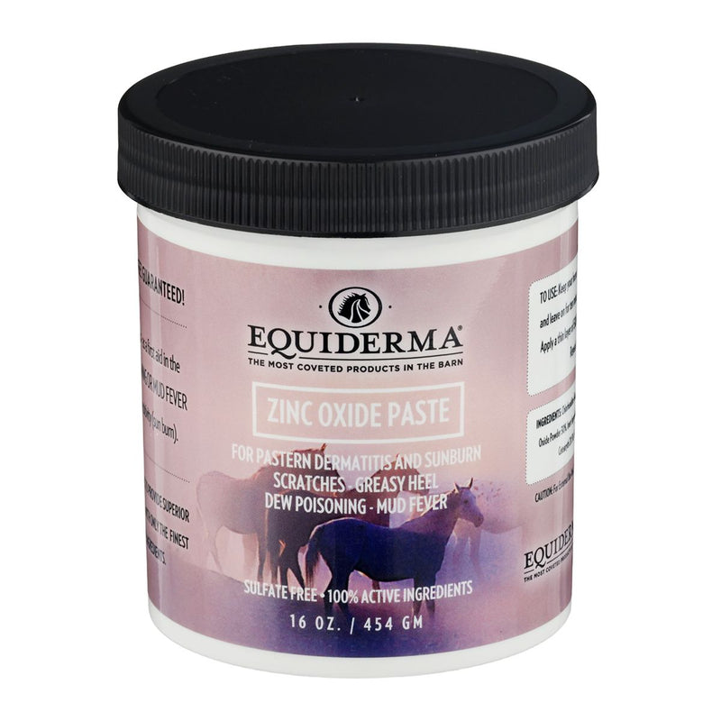Equiderma Zinc Oxide Paste
