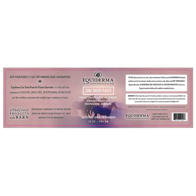 Equiderma Zinc Oxide Paste