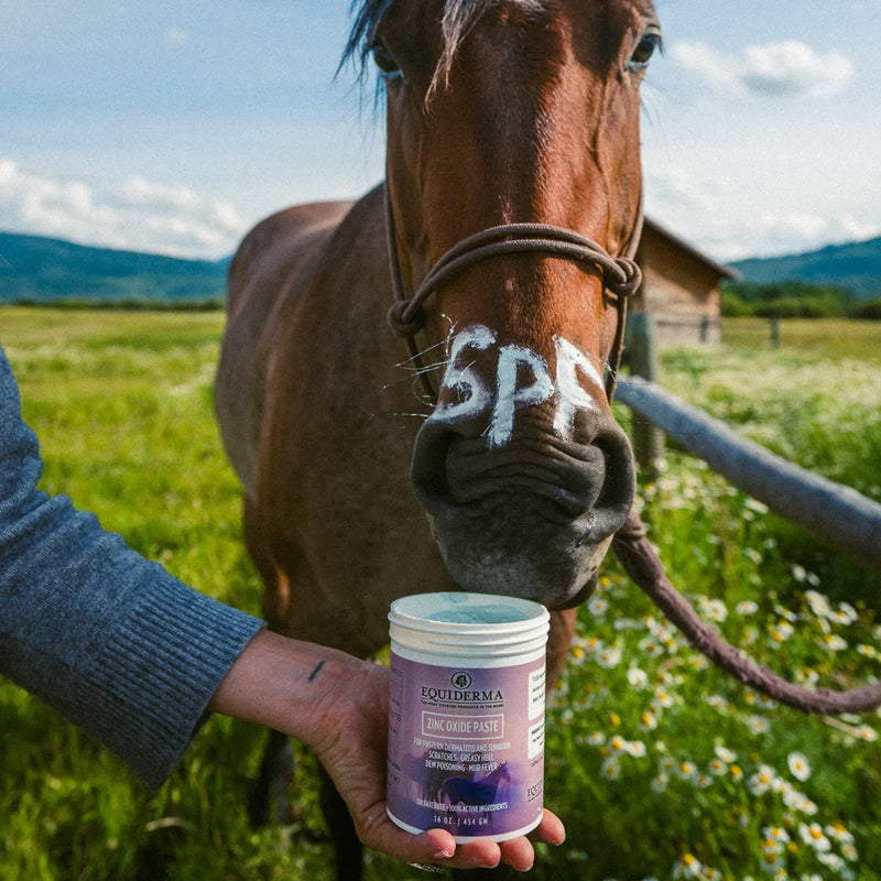 Equiderma Zinc Oxide Paste