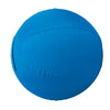 Stacy Westfall Activity Ball Cover