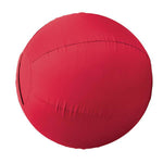 Stacy Westfall Activity Ball Cover