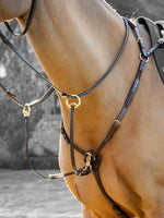 Breastplate with D-Ring Attachment