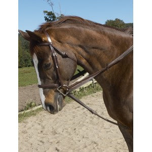 Ovation Stretch Cord Draw Reins