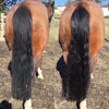 Hairy Pony 2 IN 1 Detangle & Shine Spray