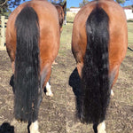 Hairy Pony 2 IN 1 Detangle & Shine Spray - Watermelon