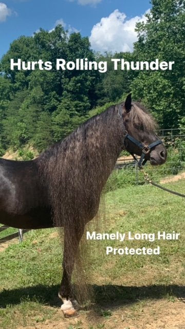 Mane-ly Long Hair Polish Protector