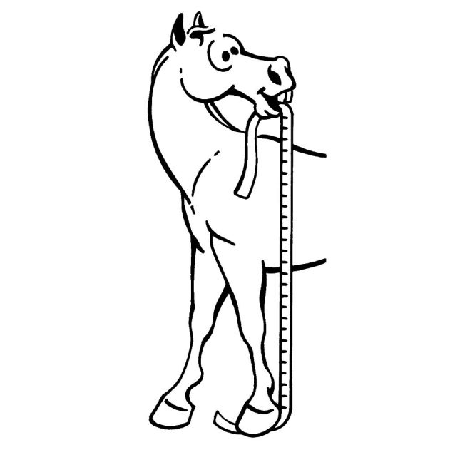 TOUGH1 SURE MEASURE HORSE & PONY HEIGHT & WEIGHT TAPE