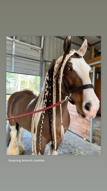 Mane-ly Long Hair Polish Protector