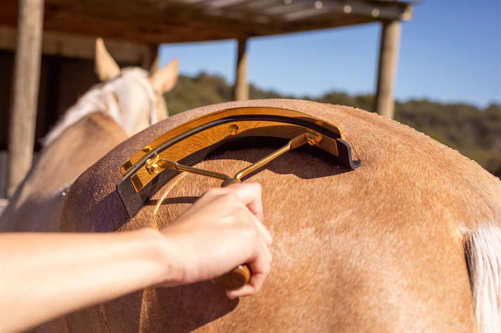 Hairy Pony Gold Sweat Scraper