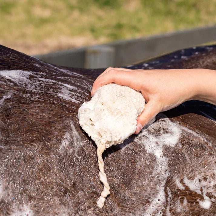 Hairy Pony Eco-Friendly Original Shampoo Bar