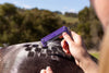 Hairy Pony Quarter Mark Spray