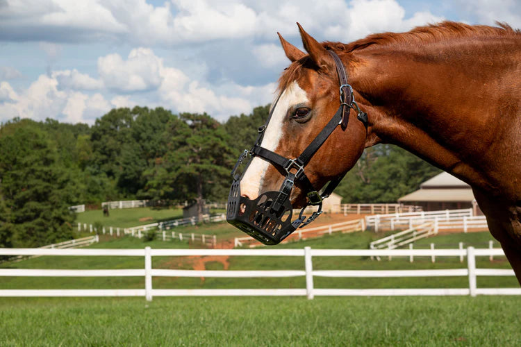 GG Equine GreenGuard Grazing Muzzle