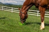 GG Equine GreenGuard Grazing Muzzle