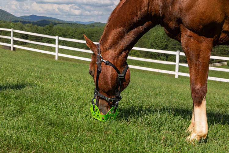 GG Equine GreenGuard Grazing Muzzle