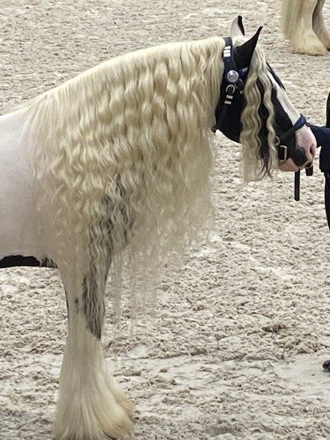 Mane-ly Long Hair Conditioner/Repair