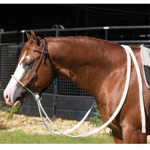 Professional's Choice Ranch Heavy Oiled 5/8" Loping Hackamore with Mule Tape Reins