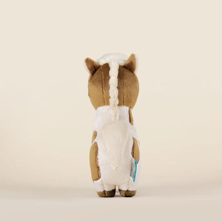 Bellzi Pinto The Horsi