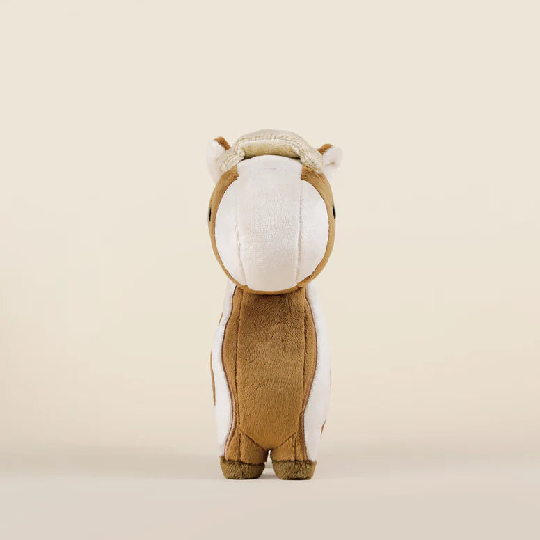 Bellzi Pinto The Horsi