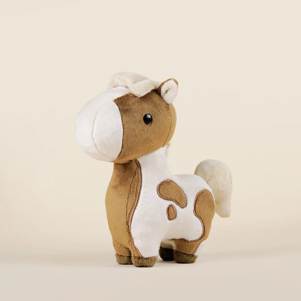 Bellzi Pinto The Horsi