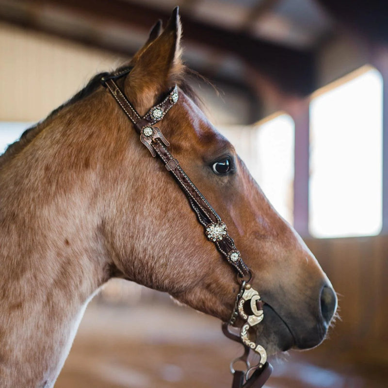 Rodeo Drive Dark Oil Floral Clear One Ear / Breast Collar Tack Set