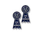 Pinfamous Pins