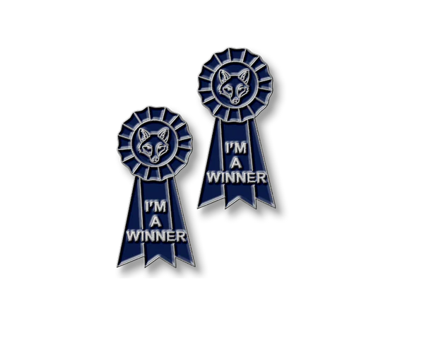 Pinfamous Pins