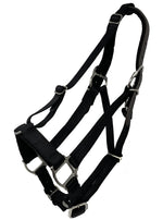 GG Equine Premium Breakaway Halter