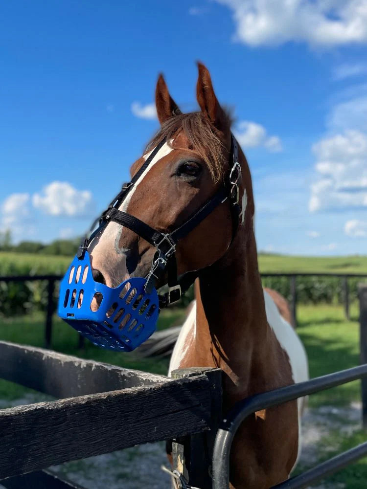 GG Equine GreenGuard Grazing Muzzle