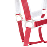 Horze by Equinavia Santa Halter