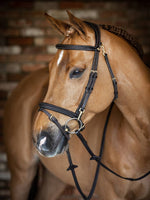 LeMieux Kudos Work Bridle Black