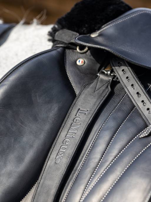 Vector Stirrup Leather
