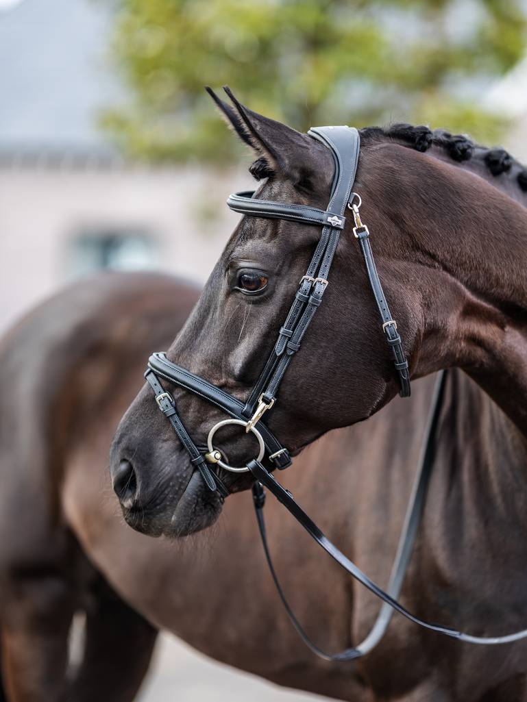 LeMieux Kudos Work Bridle Black