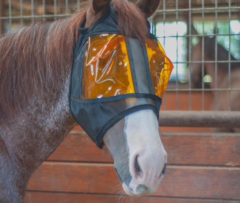 Restoration Equine Mask