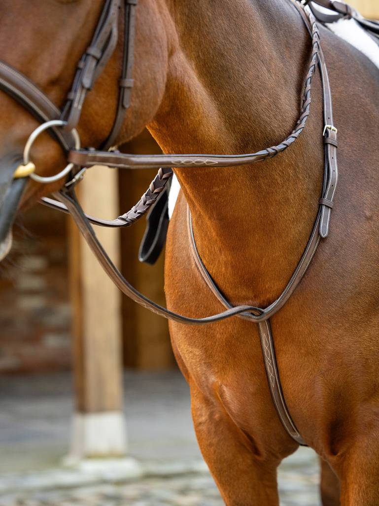 LeMieux Hunter Standing Martingale