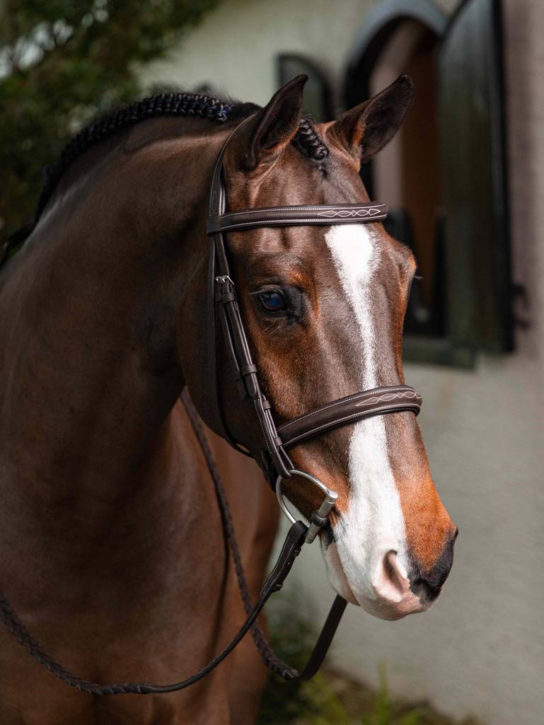 LeMieux Stitched Hunter Bridle with Laced Reins