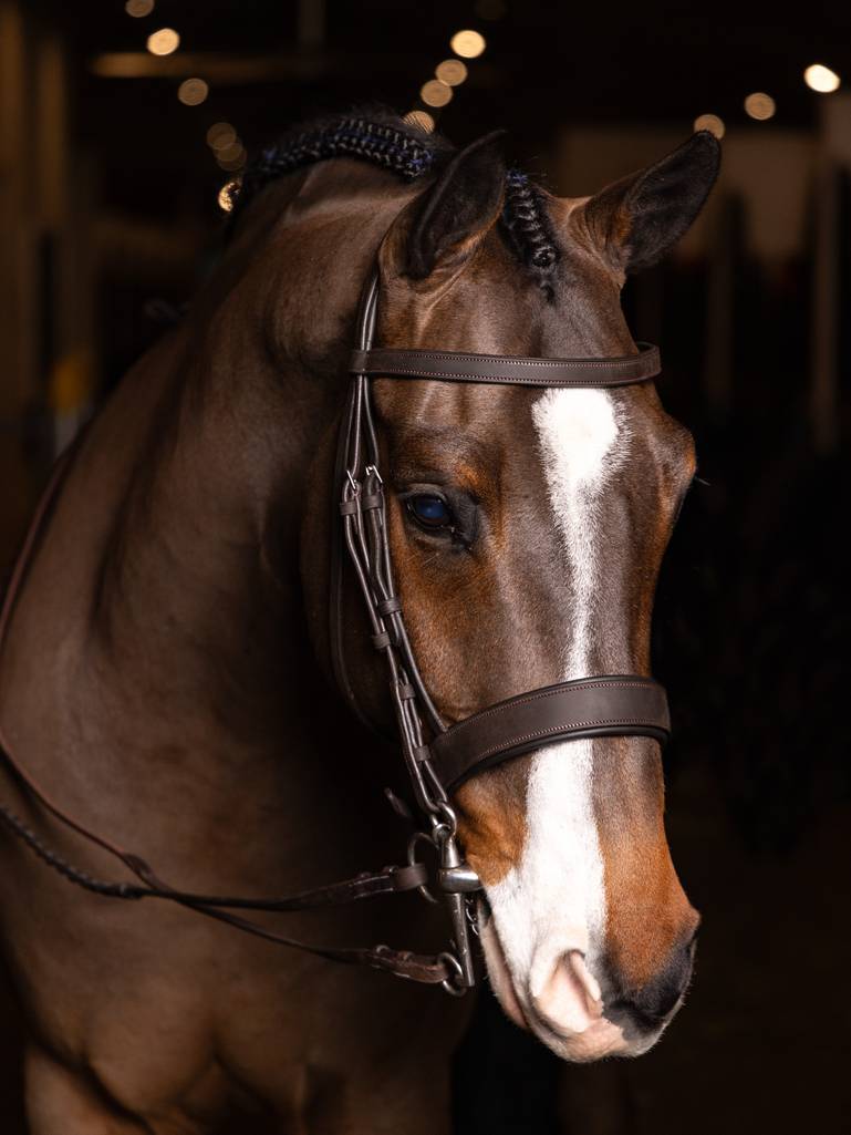 LeMieux Flat Hunter Bridle with Laced Reins - Havana/Silver