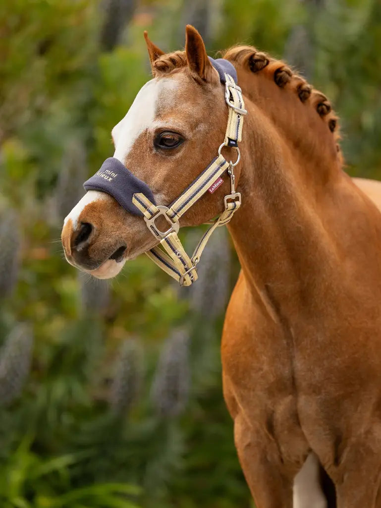 LeMieux Mini Vogue Halter