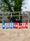 LeMieux Toy Pony Jump Set