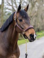 Stitched Leather Halter