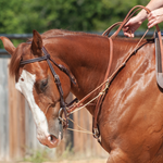 Western Martingale, Split Rein