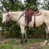 Dogwood Desert Browband Headstall