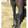 Centaur Spandex Braid n Tail Bag