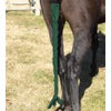 Centaur Spandex Braid n Tail Bag