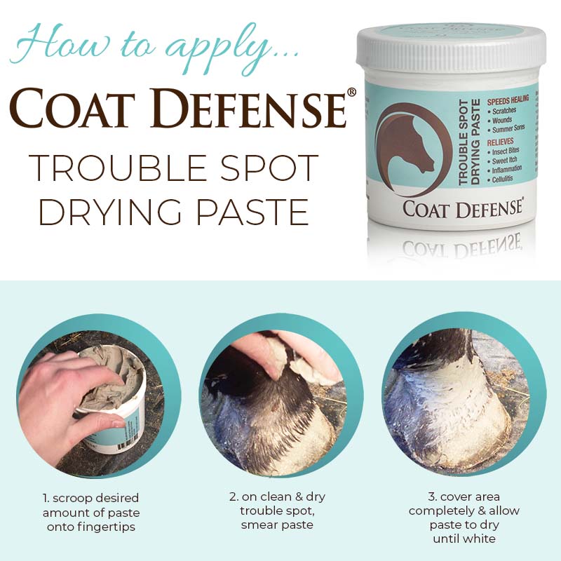 COAT DEFENSE Trouble Spot Drying Paste - Pro Size - 24 oz